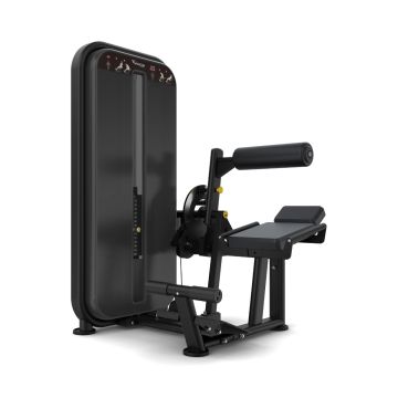 Vision Fitness Rückenstrecker / Baumaschine