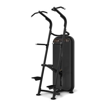 Vision Fitness Chin / Dip Assist